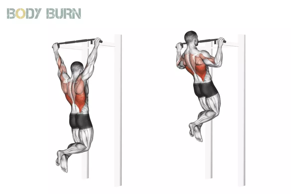 Traction - Exercices - Body Burn