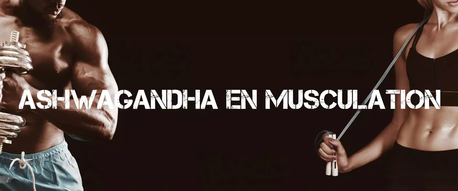 Ashwagandha en musculation