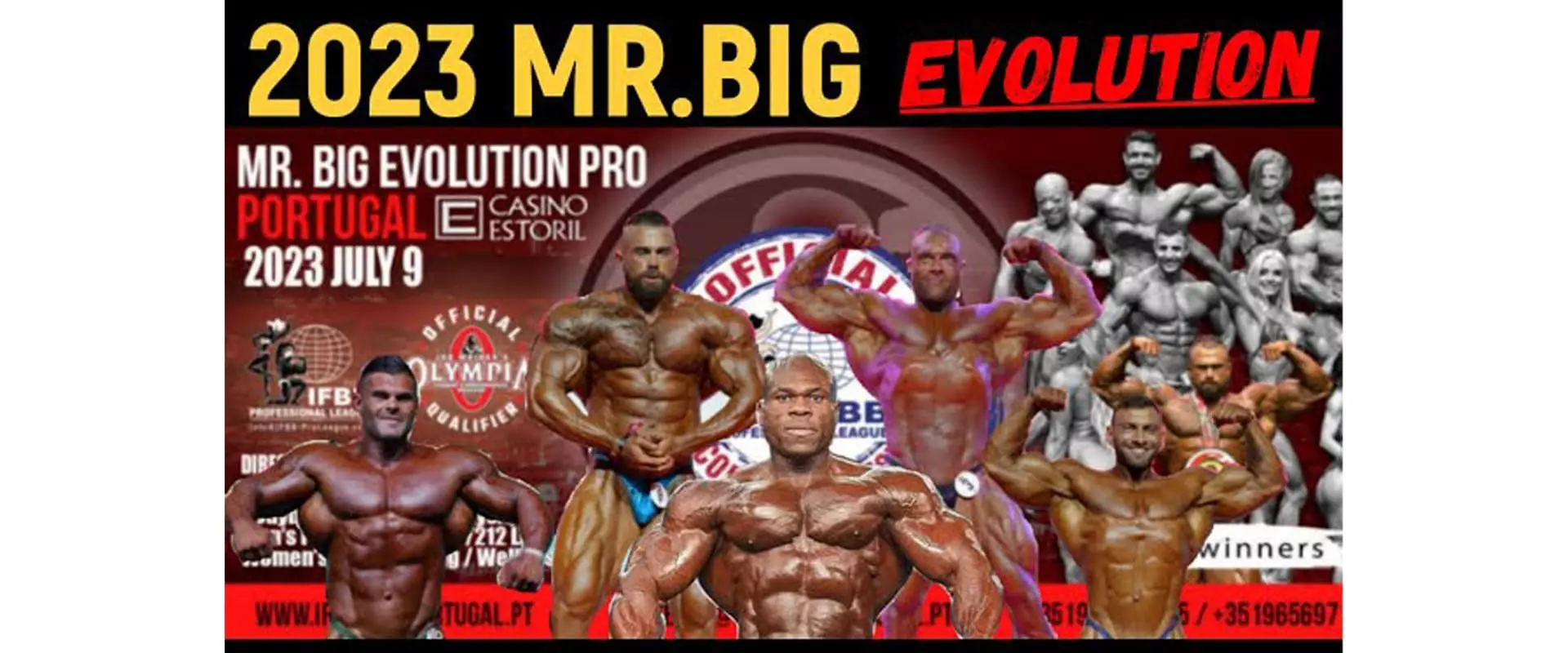 Mr. Big Evolution Pro Bodybuilding
