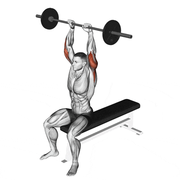 Extension verticale triceps assis à la barre