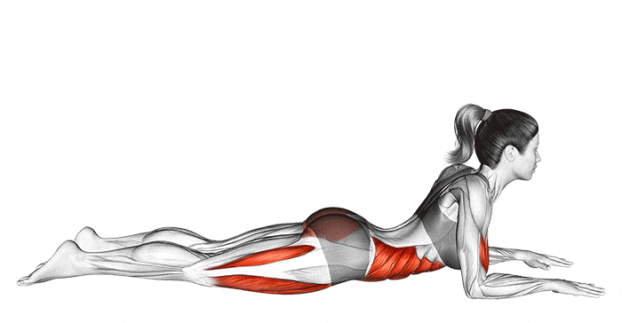 Ardha Bhekasana Posture de la demi-grenouille Yoga