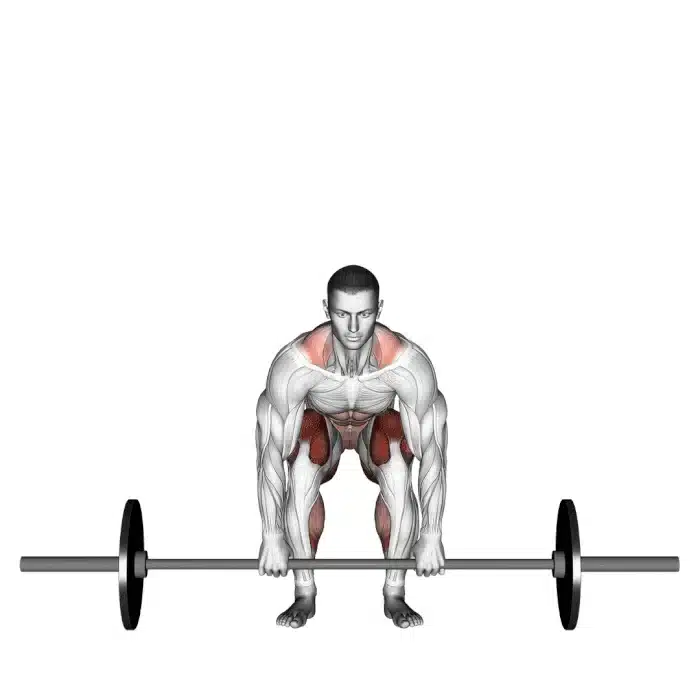 Soulevé de terre Deadlift