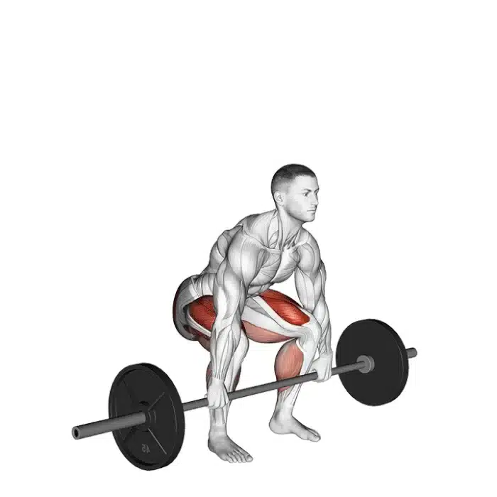 Soulevé de terre Deadlift