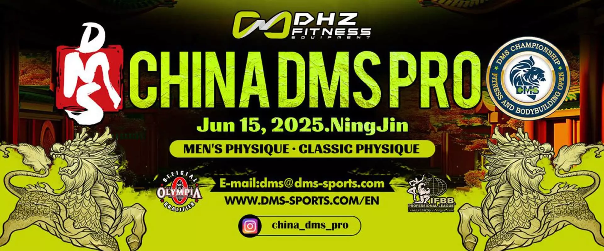 China DMS Pro 2025