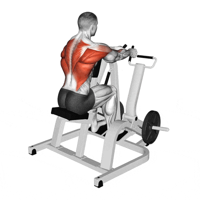 Exercice : Rowing assis à la machine – Crédit illustration © Makatserchyk