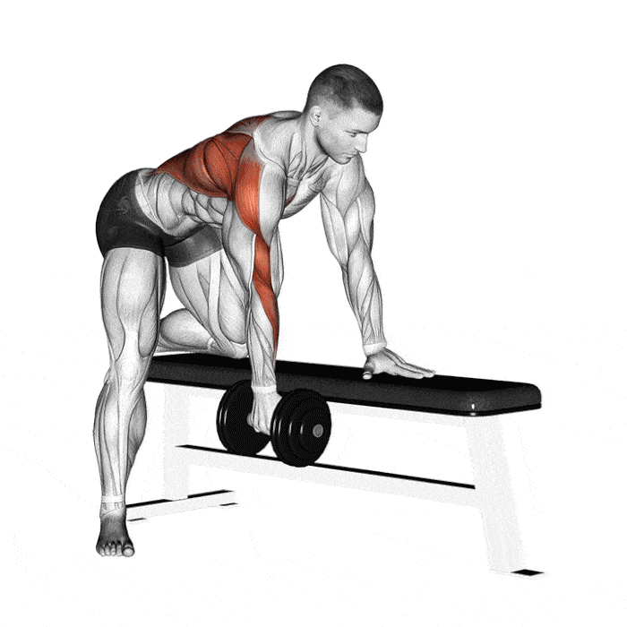 Exercice : Rowing haltère à un bras – Crédit illustration © Makatserchyk