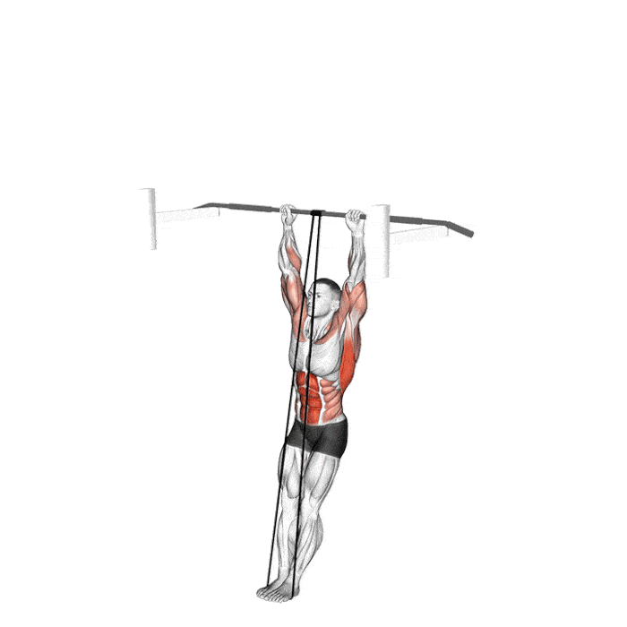 Exercice : Muscle up assisté avec un élastique – Crédit illustration © Makatserchyk