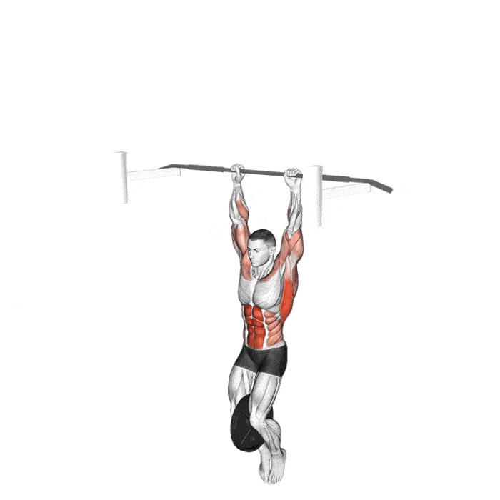 Exercice : Muscle up lesté – Crédit illustration © Makatserchyk