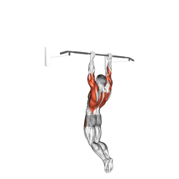 Exercice : Muscle up – Crédit illustration © Makatserchyk