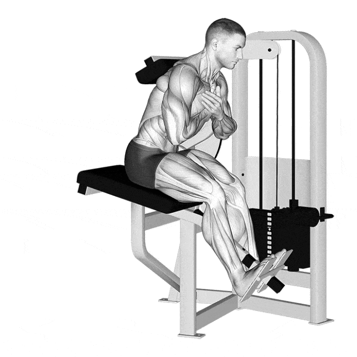 Exercice : Extension lombaire à la machine – Crédit illustration © Makatserchyk