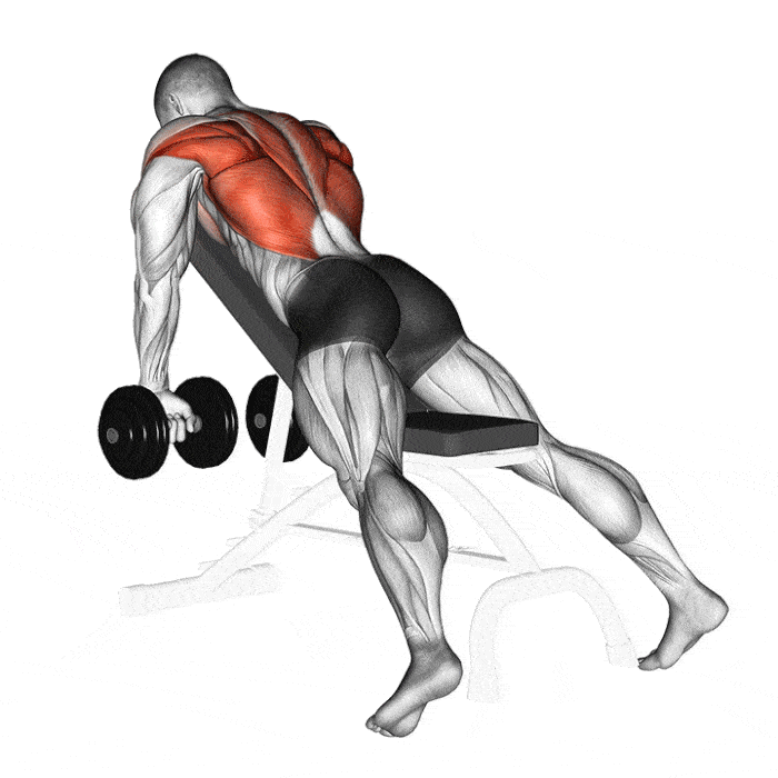 Exercice : Variante prise en pronation – Crédit illustration © Makatserchyk