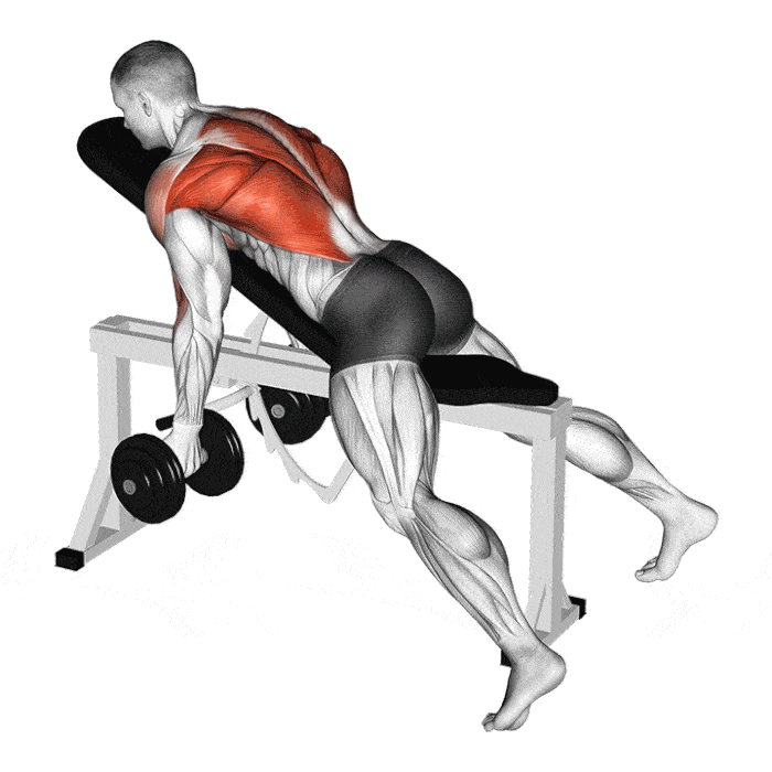 Exercice : Variante prise en supination – Crédit illustration © Makatserchyk