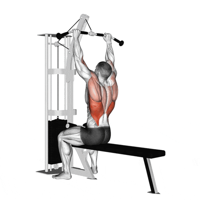 Exercice : Tirage vertical poitrine – Crédit illustration © Makatserchyk